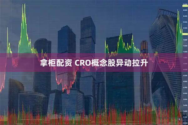 拿柜配资 CRO概念股异动拉升