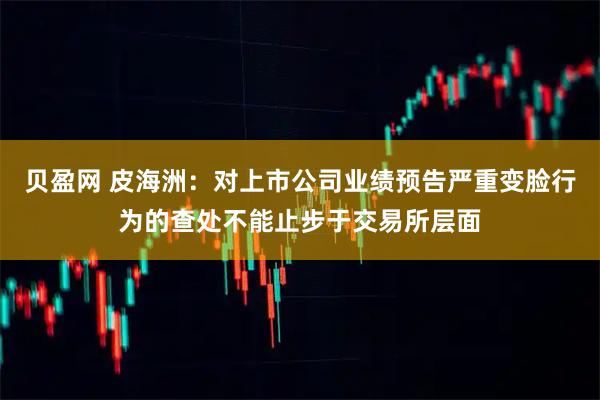 贝盈网 皮海洲：对上市公司业绩预告严重变脸行为的查处不能止步于交易所层面